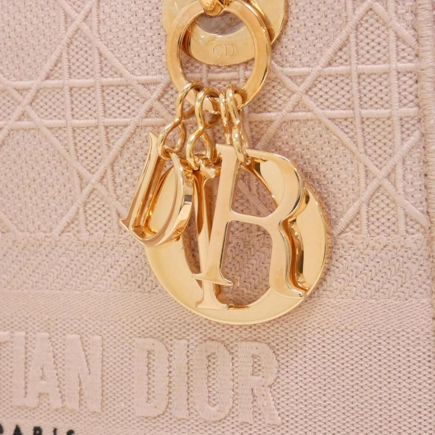 Christian Dior Pink Canvas Handbag (Pre-Owned)