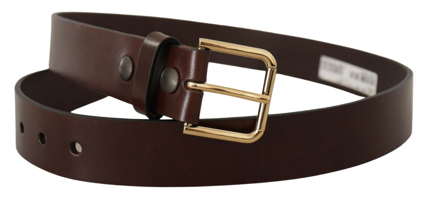 Dolce & Gabbana Brown Polished Leather Gold Tone Metal Buckle Men's Belt