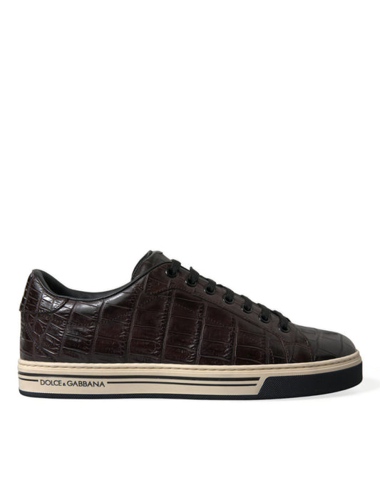 Dolce & Gabbana Brown Croc Exotic Leather Men Casual Sneakers Men's Shoes