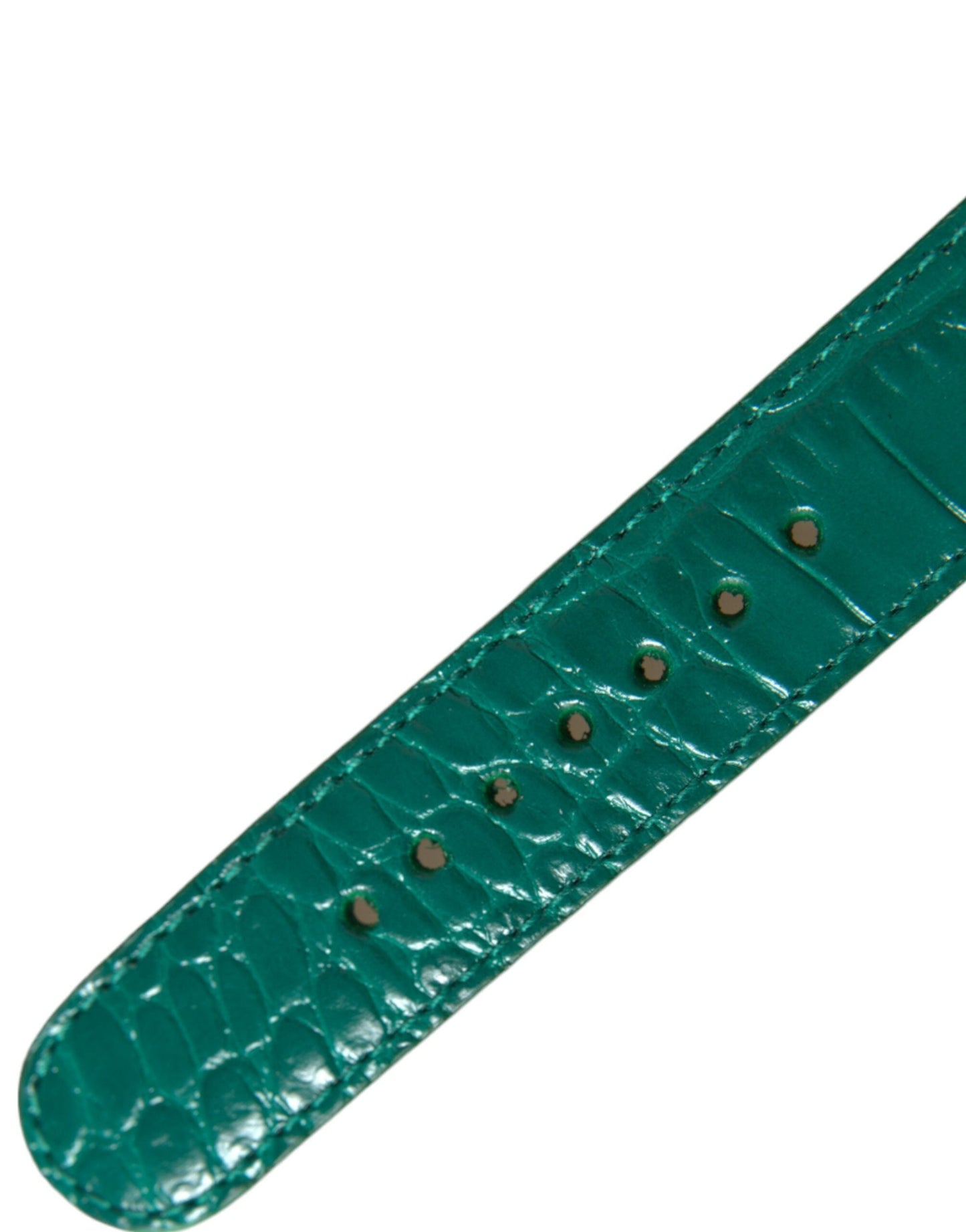 Dolce & Gabbana Green Textured Leather Gold Tone Metal Buckle Women's Neckband