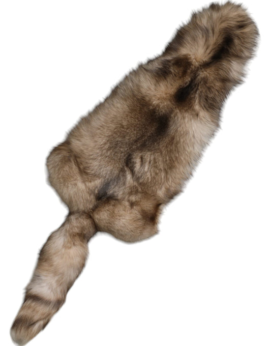 Dolce & Gabbana Brown Frost Fox Fur Neck Warmer Winter Women's Scarf